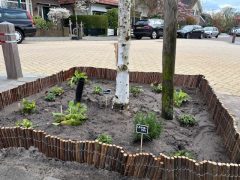 Beplanting boomspiegel Spaargarenstraat